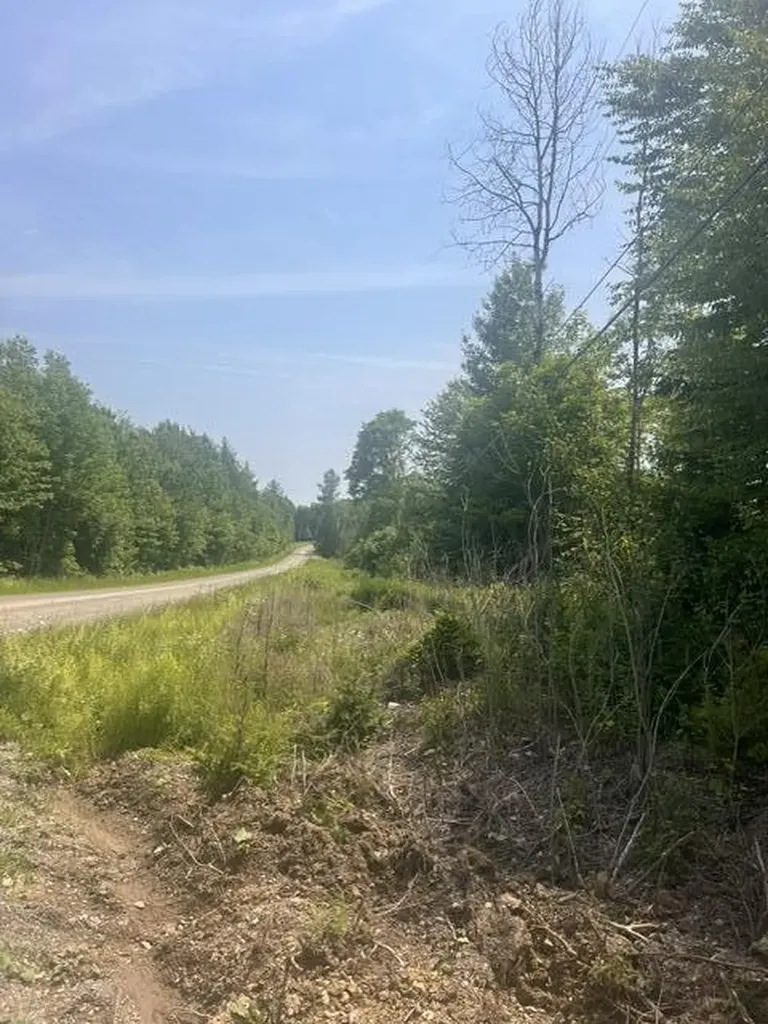 M4 P/o3 Estabrook Road Amity ME 04471