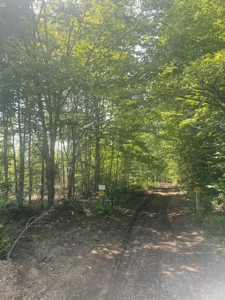 M4 P/o3 Estabrook Road Amity ME 04471