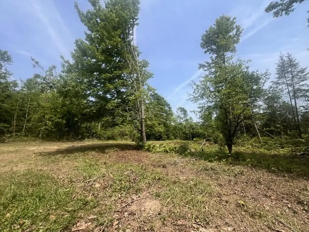 M4 P/o3 Estabrook Road Amity ME 04471