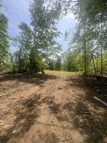 M4 P/o3 Estabrook Road Amity ME 04471
