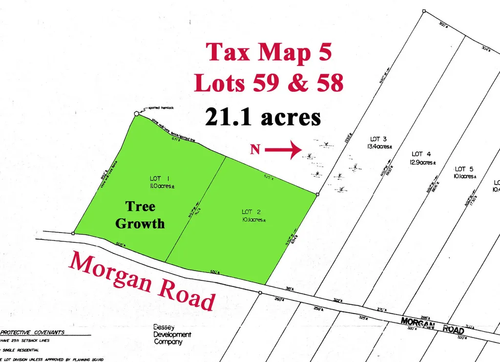 Lots 1 & 2 Morgan Road Burnham ME 04848