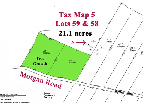 Lots 1 & 2 Morgan Road Burnham ME 04848