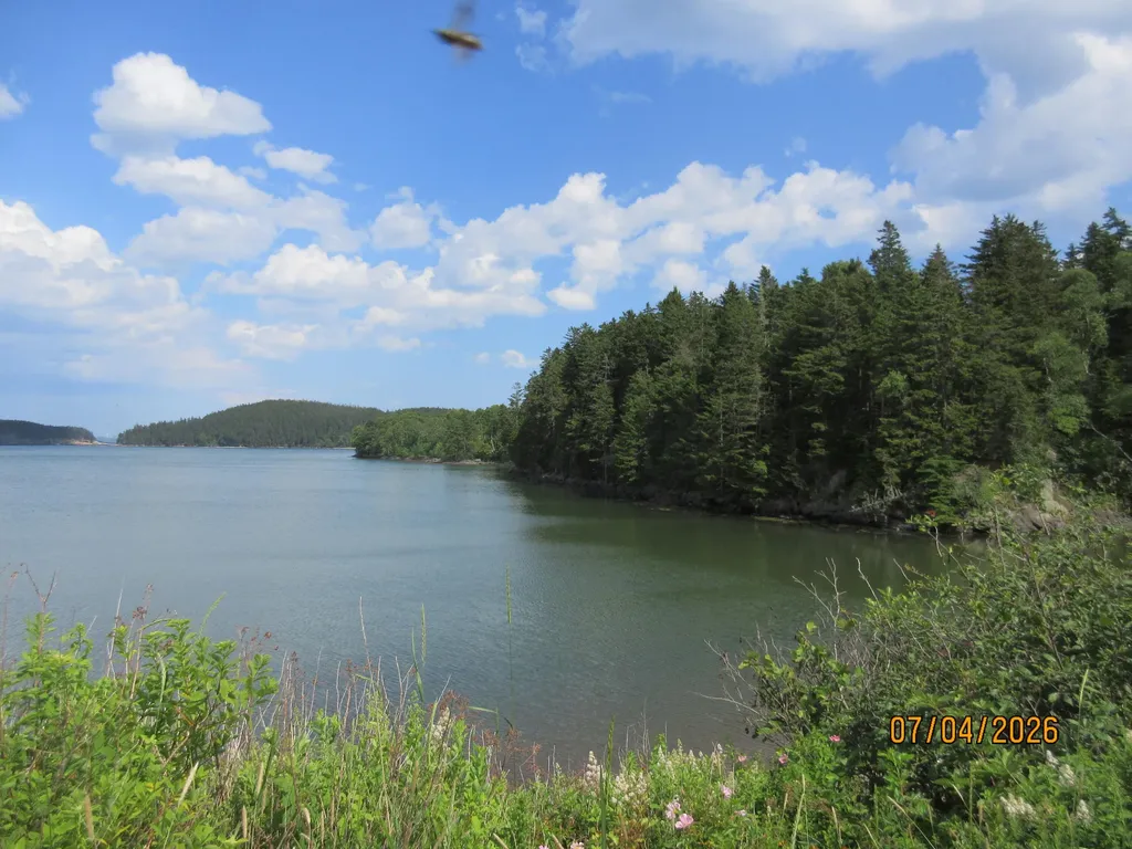 Lot 1 Smalls Point Road Machiasport ME 04655