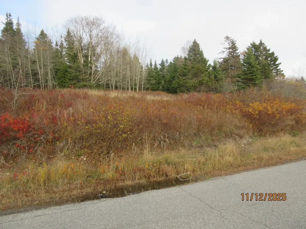 Lot 1 Smalls Point Road Machiasport ME 04655
