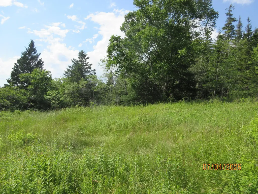 Lot 1 Smalls Point Road Machiasport ME 04655