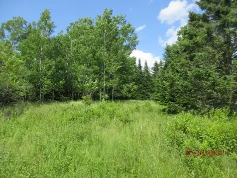 Lot 1 Smalls Point Road Machiasport ME 04655