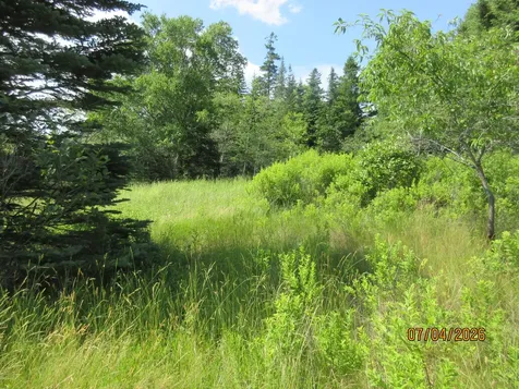 Lot 1 Smalls Point Road Machiasport ME 04655