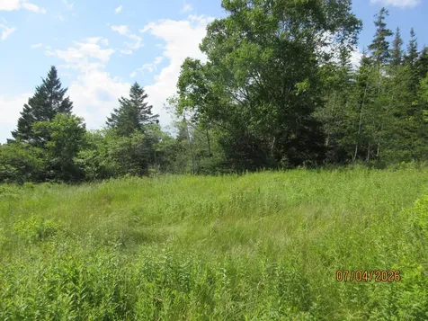 Lot 1 Smalls Point Road Machiasport ME 04655