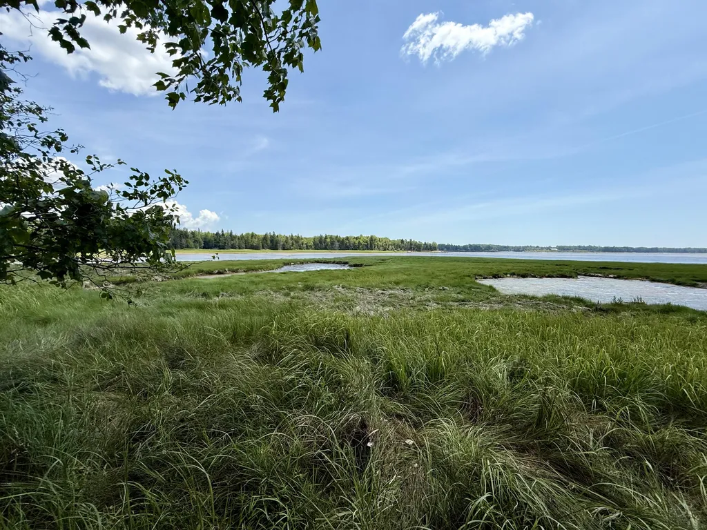 16 Rice Road Harrington ME 04643