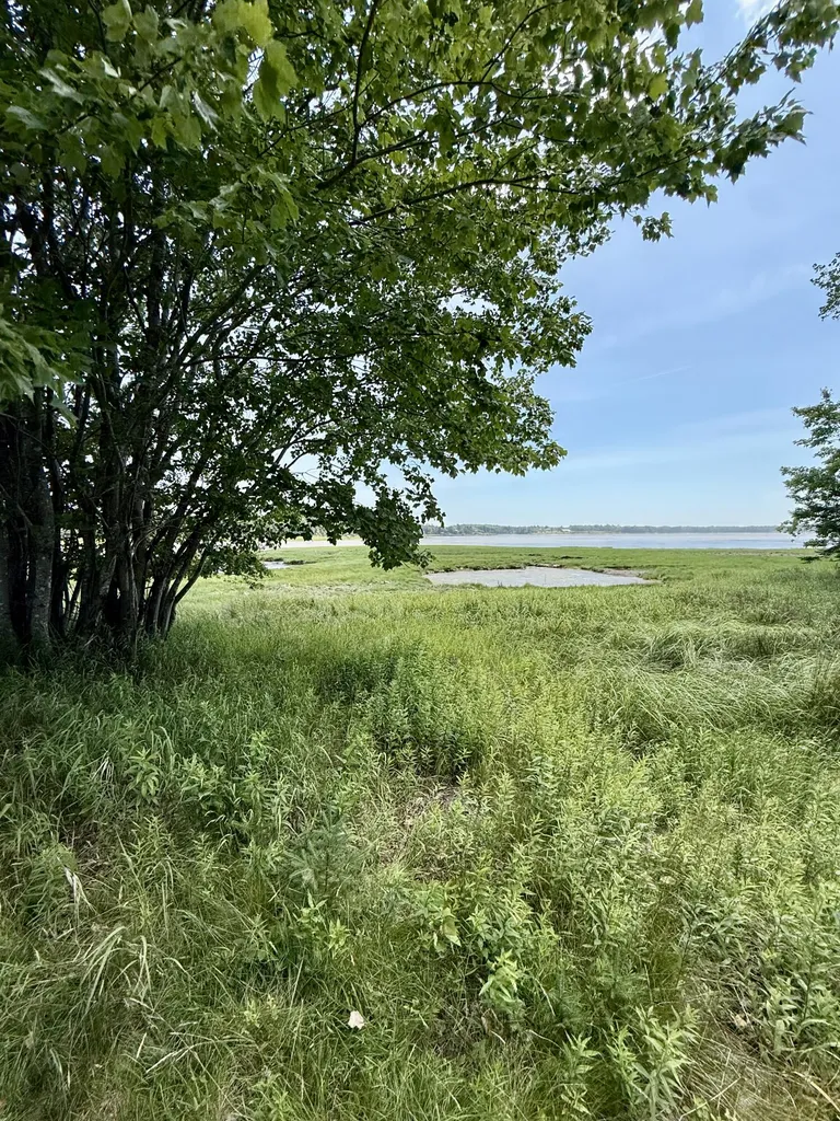 16 Rice Road Harrington ME 04643