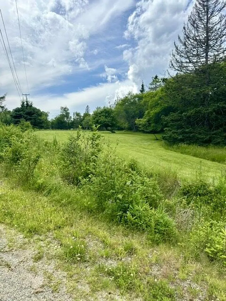 16 Rice Road Harrington ME 04643