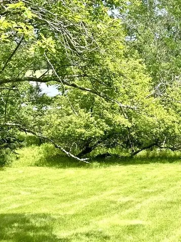 16 Rice Road Harrington ME 04643