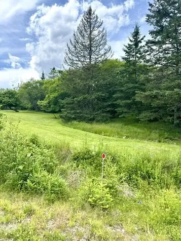 16 Rice Road Harrington ME 04643