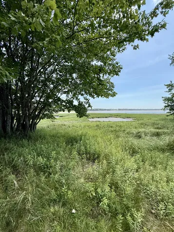 16 Rice Road Harrington ME 04643