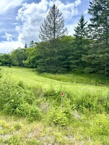 16 Rice Road Harrington ME 04643