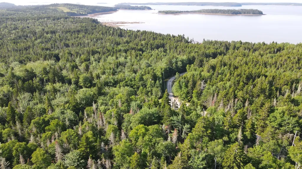 M6L21 Great Cove Road Roque Bluffs ME 04654