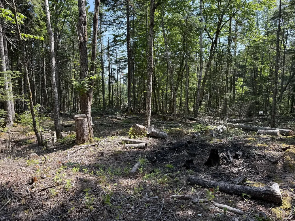M6L21 Great Cove Road Roque Bluffs ME 04654