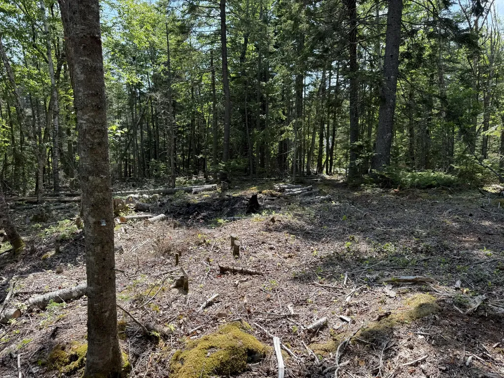 M6L21 Great Cove Road Roque Bluffs ME 04654