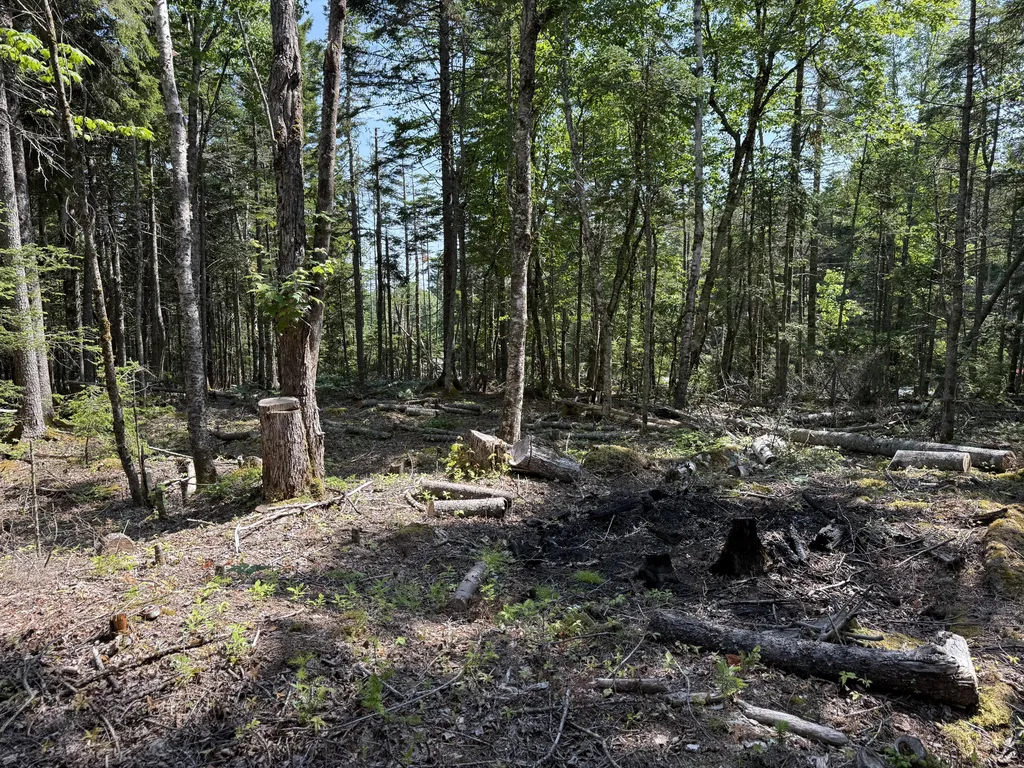 M6L21 Great Cove Road Roque Bluffs ME 04654