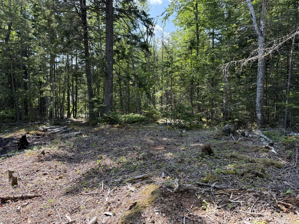 M6L21 Great Cove Road Roque Bluffs ME 04654