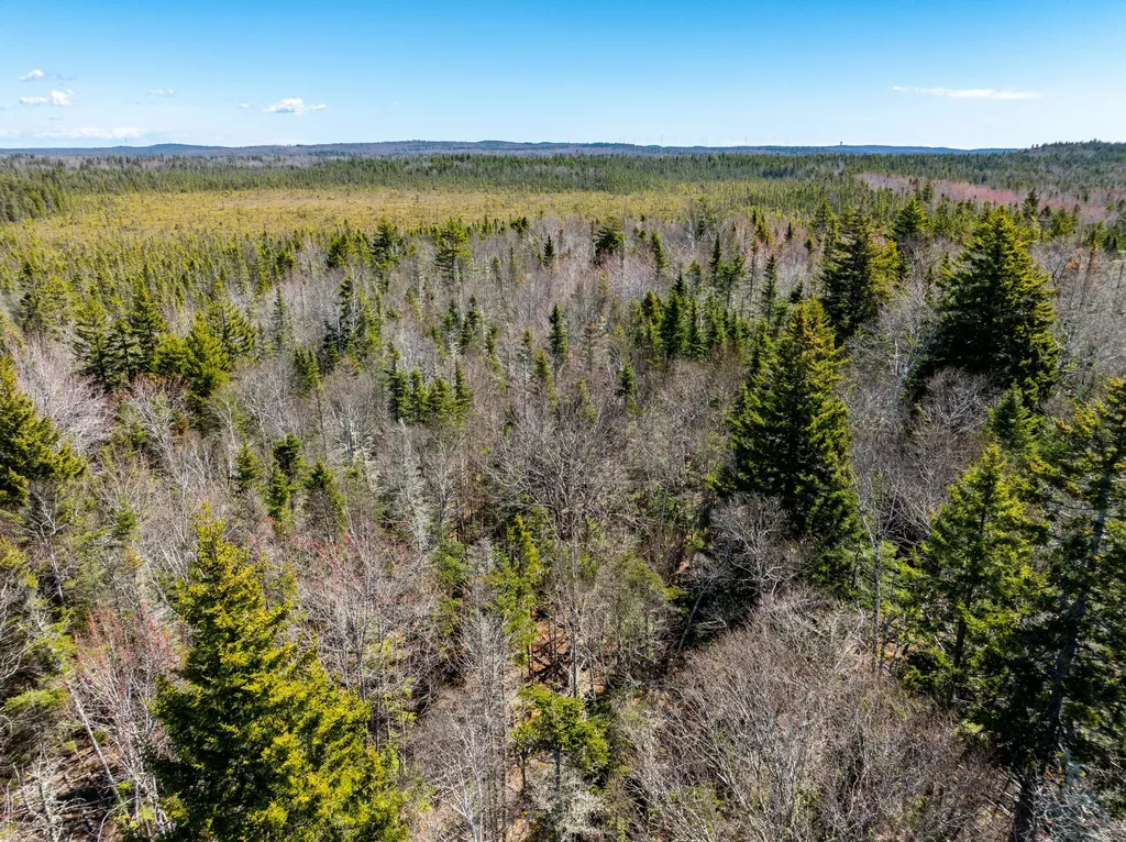 M6L21 Great Cove Road Roque Bluffs ME 04654