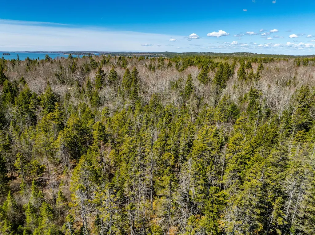 M6L21 Great Cove Road Roque Bluffs ME 04654