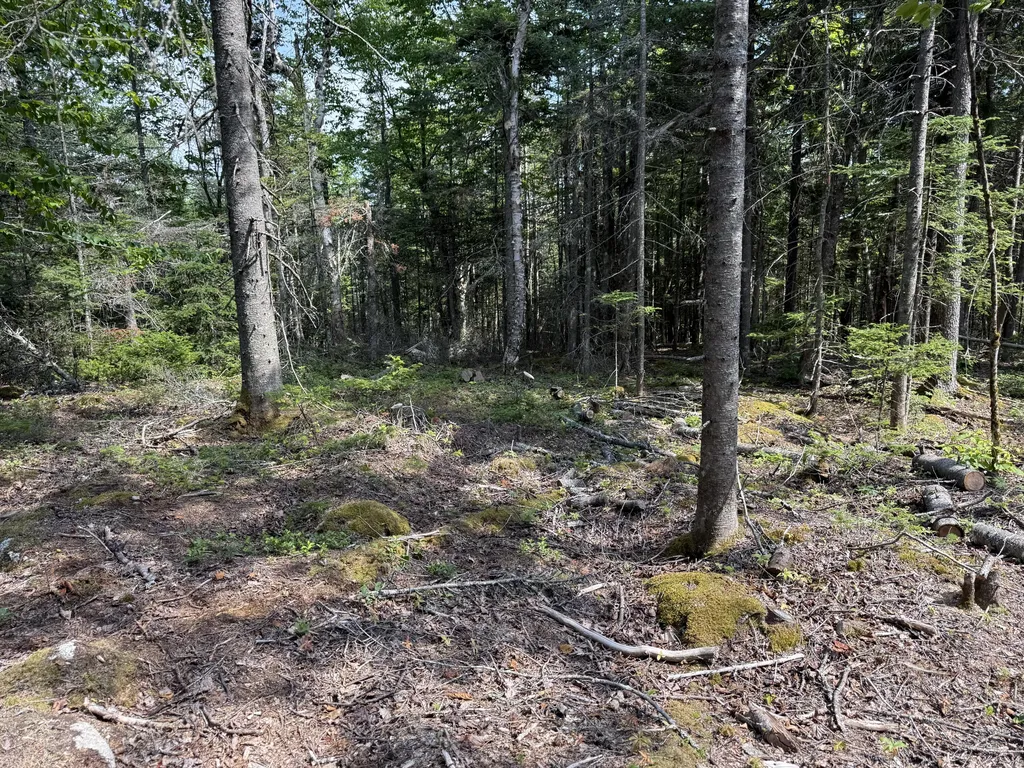 M6L21 Great Cove Road Roque Bluffs ME 04654