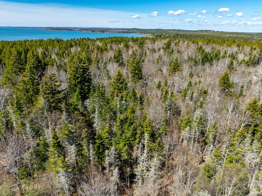 M6L21 Great Cove Road Roque Bluffs ME 04654