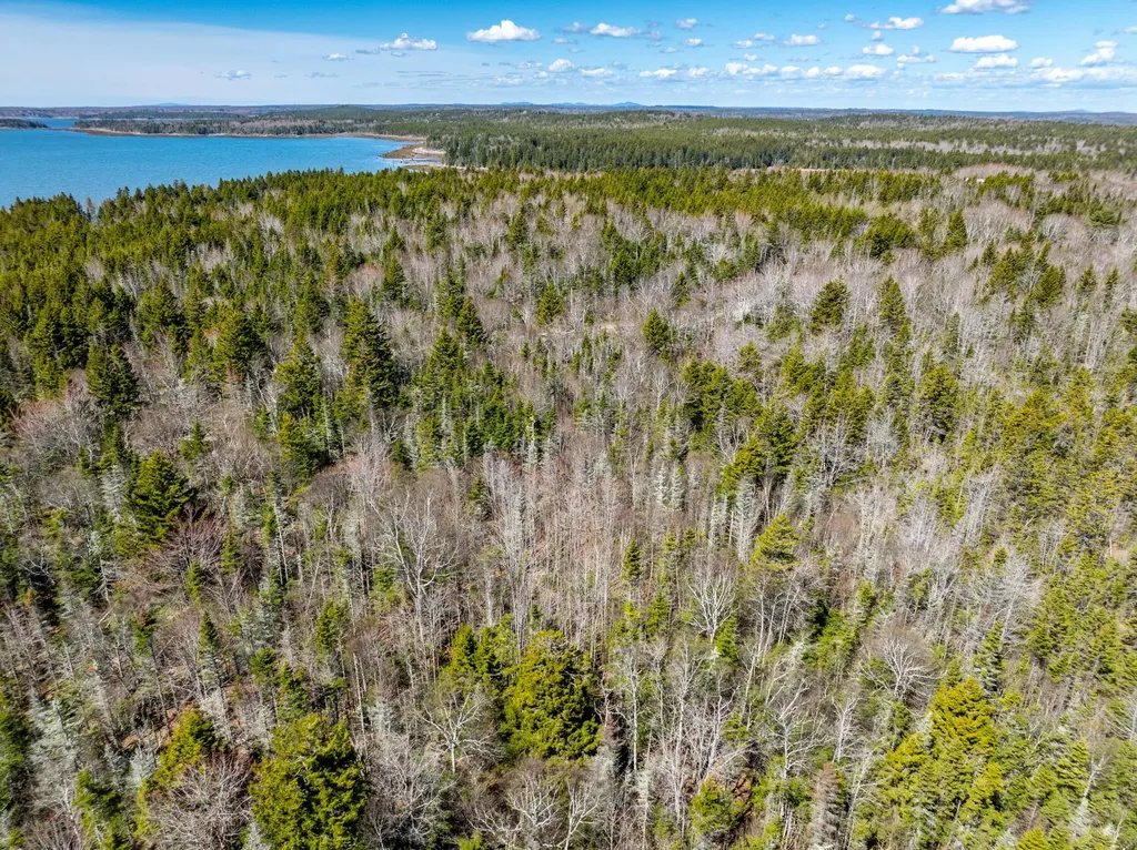 M6L21 Great Cove Road Roque Bluffs ME 04654