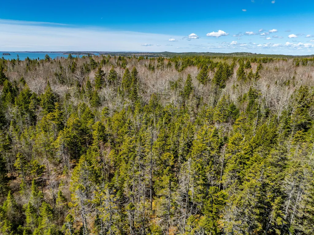 M6L21 Great Cove Road Roque Bluffs ME 04654