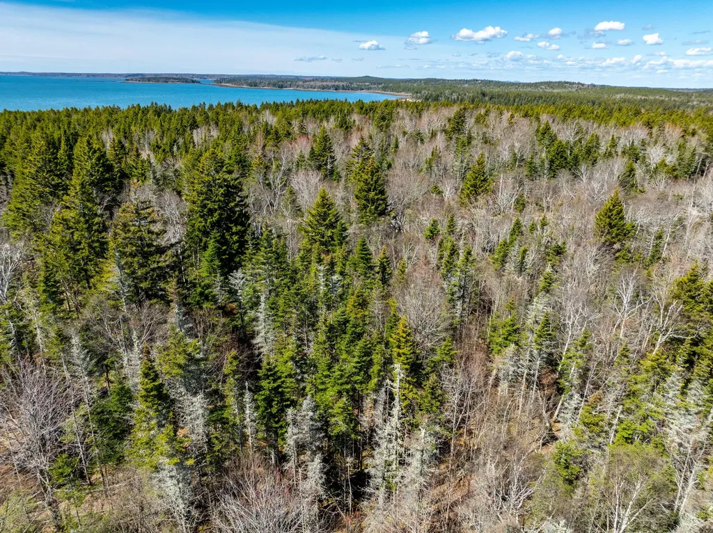M6L21 Great Cove Road Roque Bluffs ME 04654