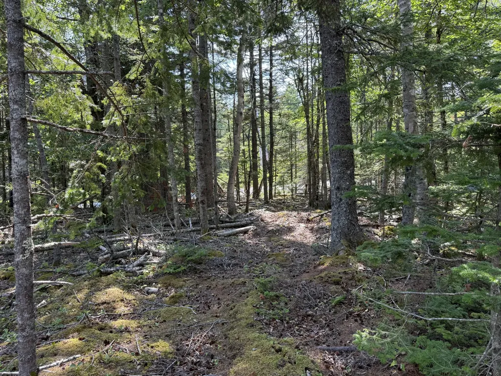 M6L21 Great Cove Road Roque Bluffs ME 04654
