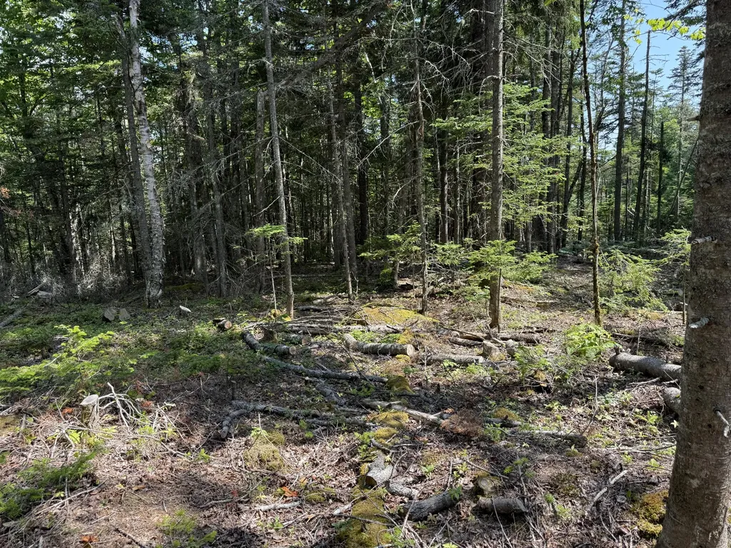 M6L21 Great Cove Road Roque Bluffs ME 04654