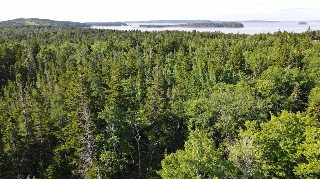 M6L21 Great Cove Road Roque Bluffs ME 04654