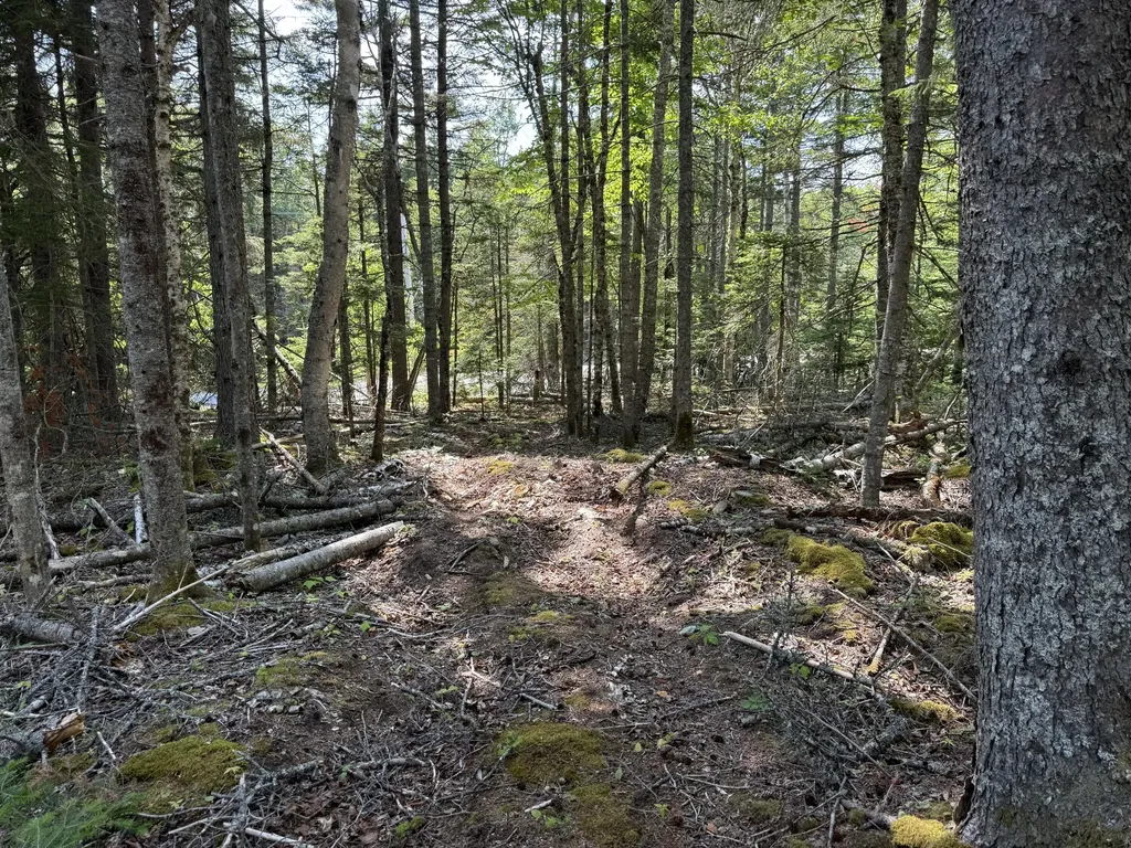 M6L21 Great Cove Road Roque Bluffs ME 04654