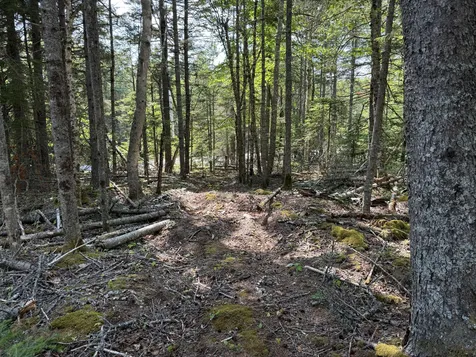 M6L21 Great Cove Road Roque Bluffs ME 04654