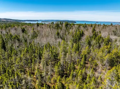 M6L21 Great Cove Road Roque Bluffs ME 04654