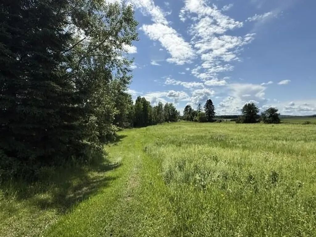 1175 N Houlton Road Road N Westfield ME 04787