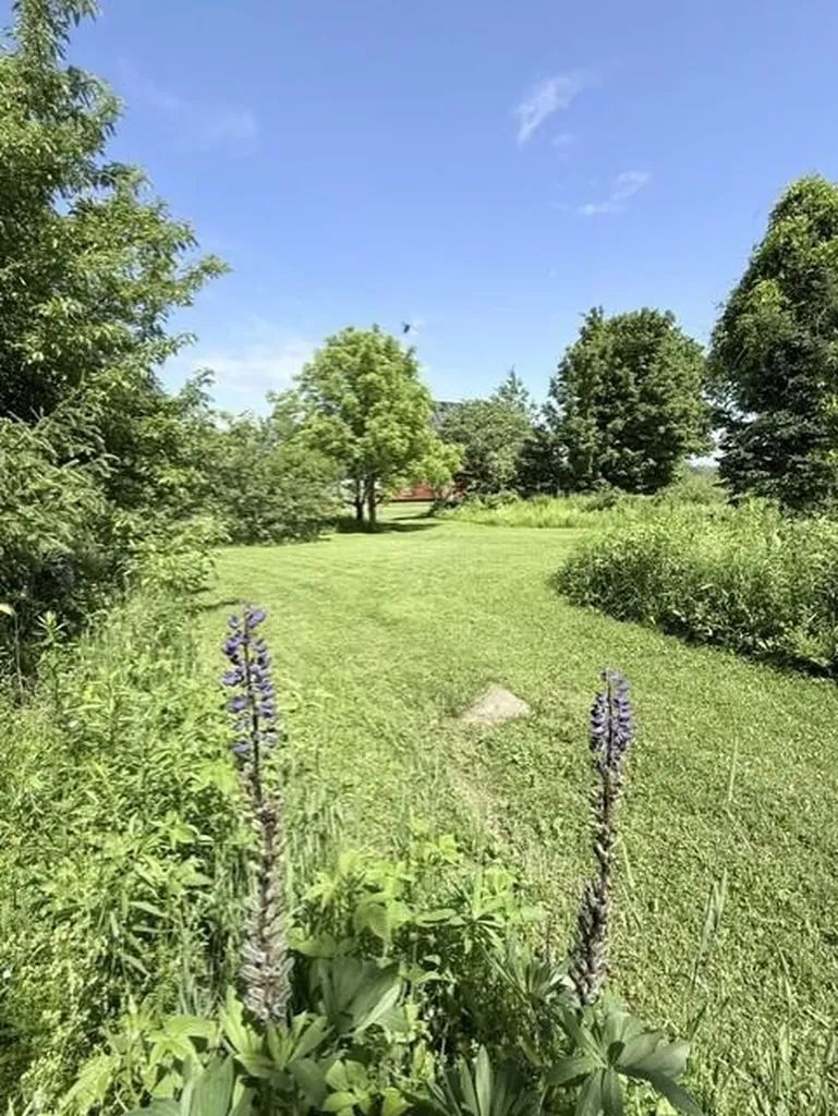 1175 N Houlton Road Road N Westfield ME 04787