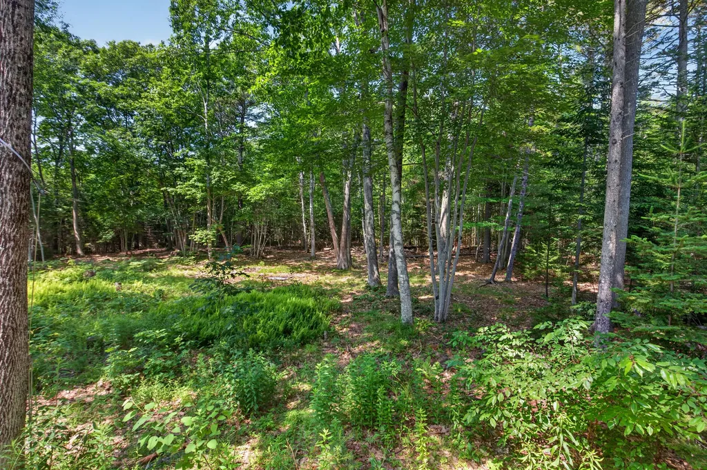 40 Forest Hill Bucksport ME 04416