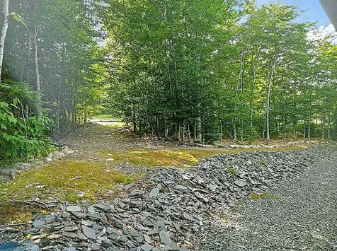 6 Alpine Ridge Drive Greenville ME 04441