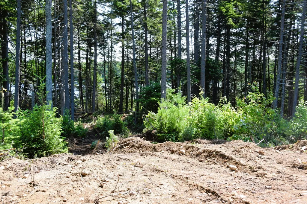 MS03 Middle Carry Pond Carrying Place Twp ME 04961