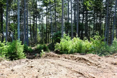 MS03 Middle Carry Pond Carrying Place Twp ME 04961