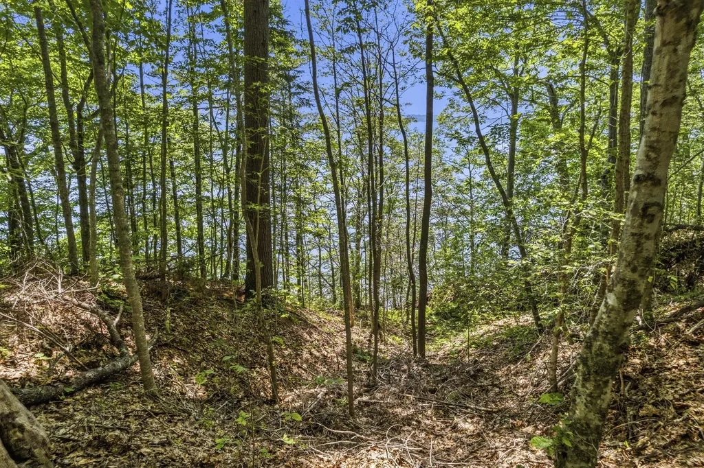 19_8_1A Flying Point Road Freeport ME 04032