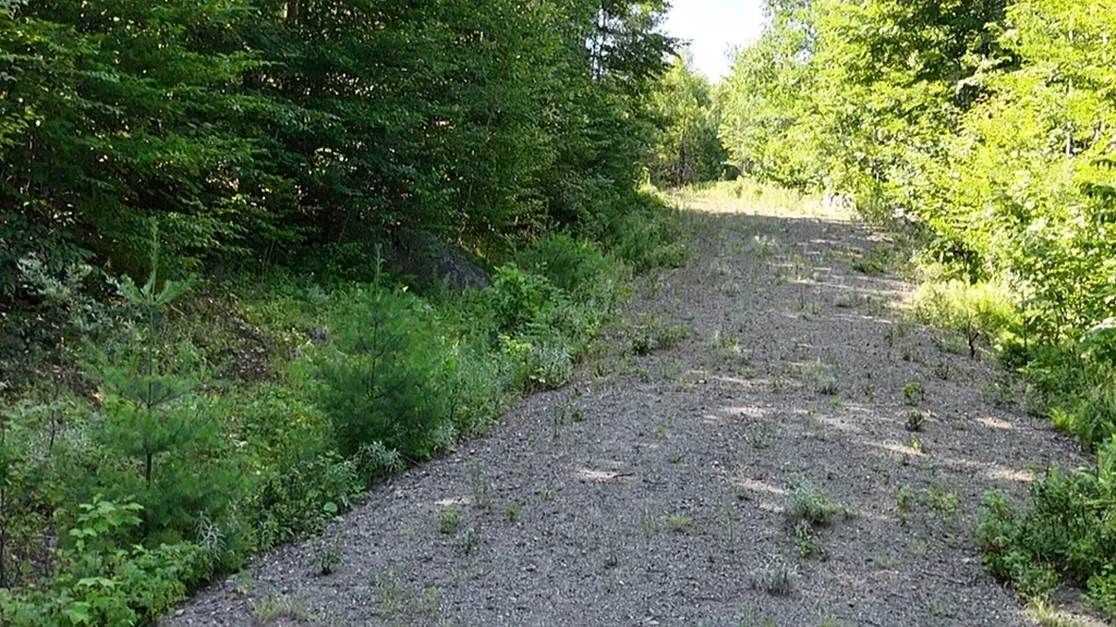 2 Lower Vose Road Kingfield ME 04947