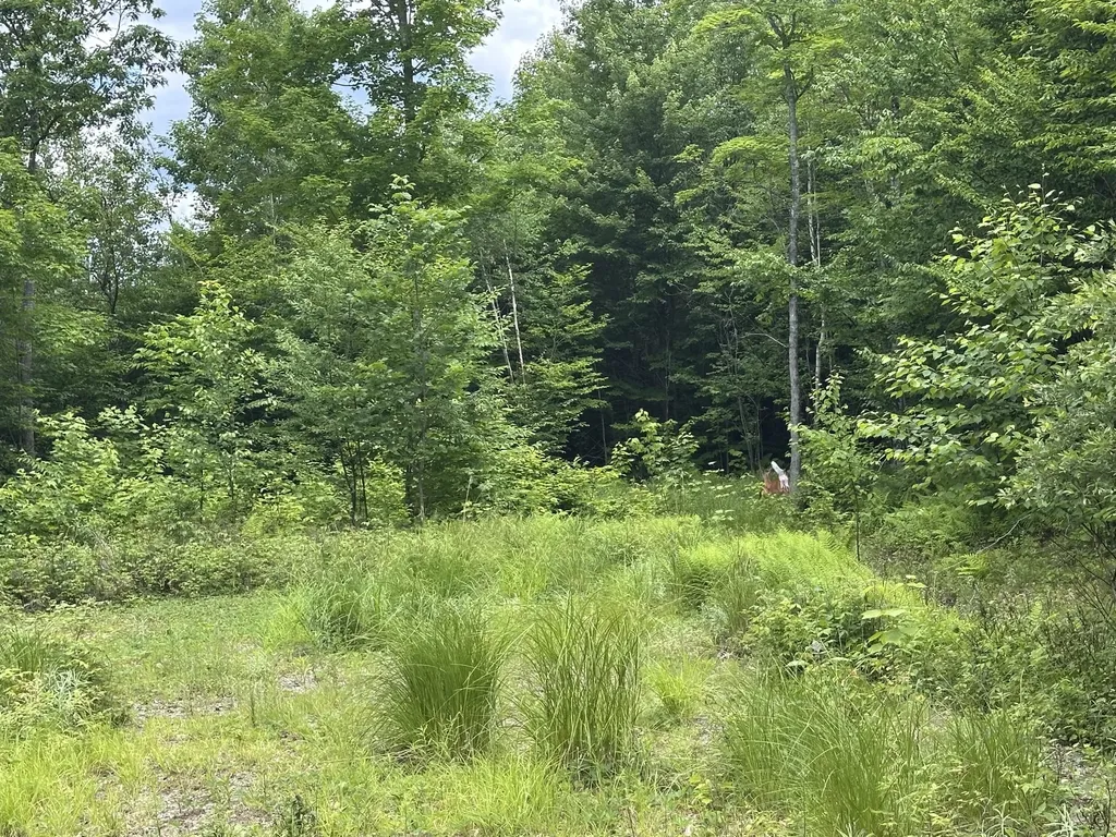 2 Lower Vose Road Kingfield ME 04947