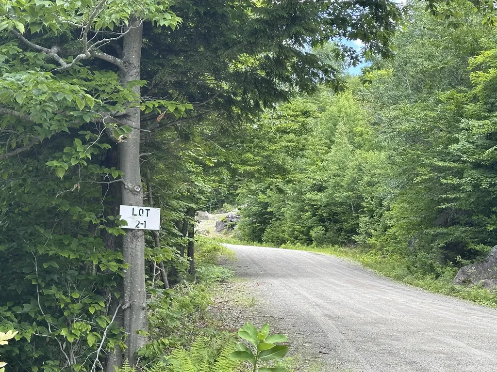 2 Lower Vose Road Kingfield ME 04947