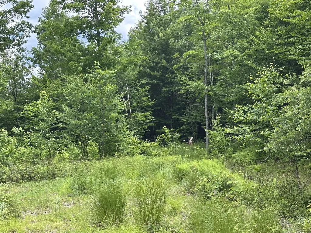 2 Lower Vose Road Kingfield ME 04947