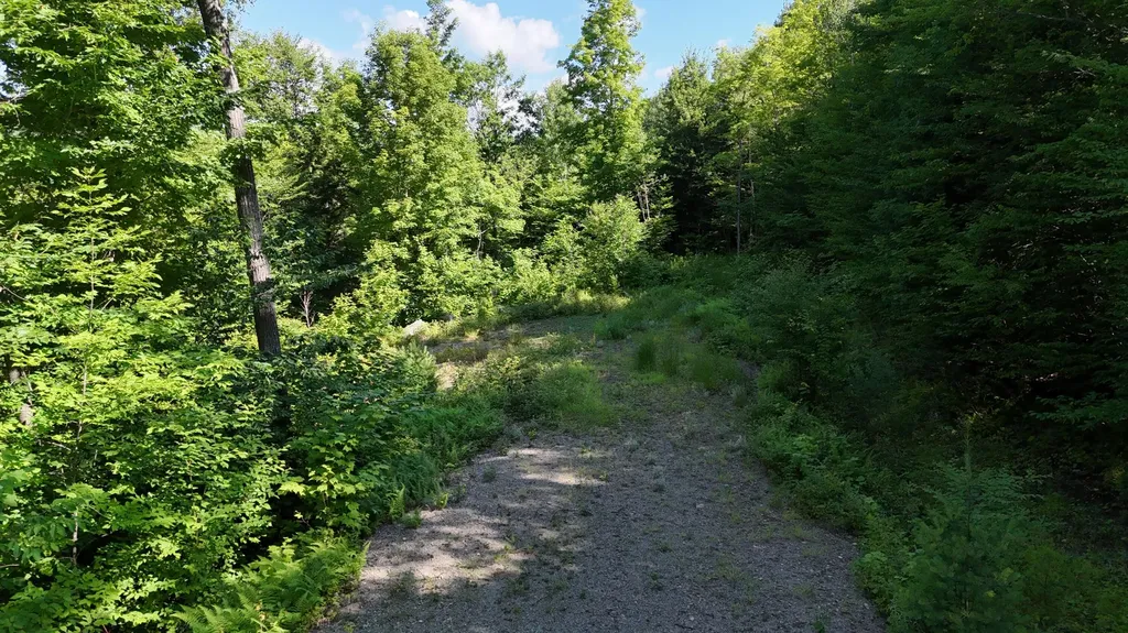2 Lower Vose Road Kingfield ME 04947
