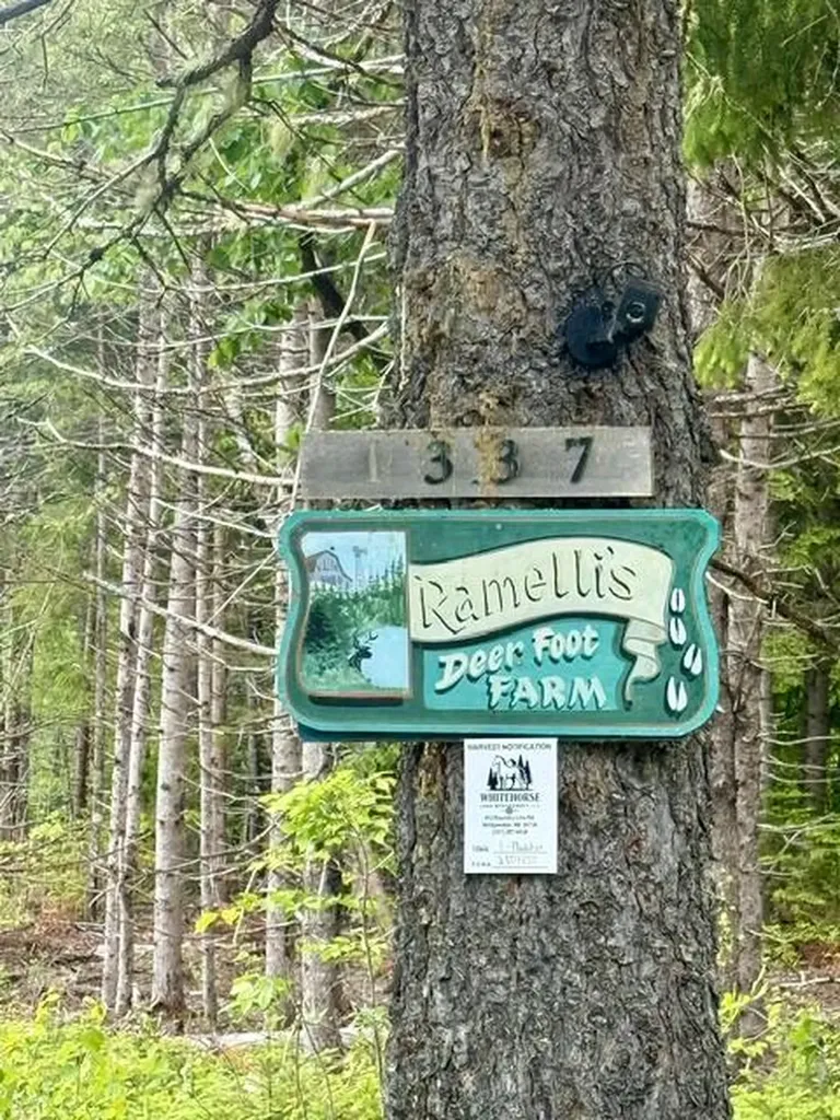 1337 E Plantation Road Blaine ME 04734